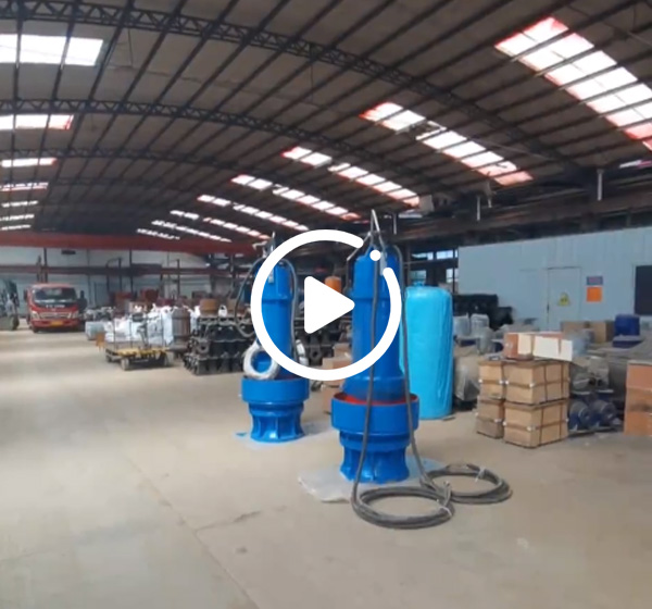 潛水軸流泵(bèng)